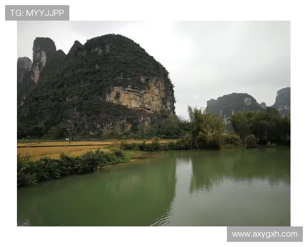 《从草根到顶尖赛场足球的演变与全球化影响》