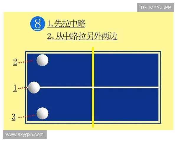 武汉乒乓球队实力分析与表现评估探讨及未来发展方向研究